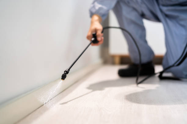 Licensed Cockroach Control service in Danville, VA - Nex Pest Control