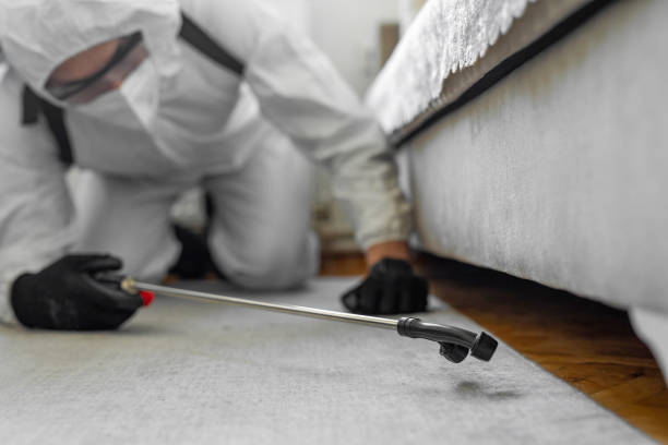 Professional Cockroach Control technician working in Danville, VA