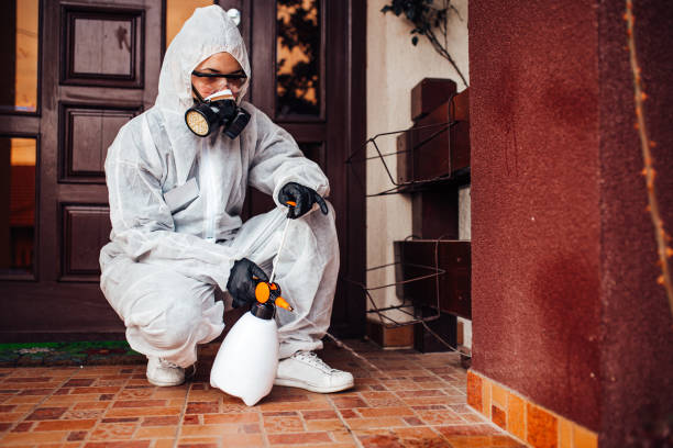 Reliable Cockroach Control contractor in Danville, VA by Nex Pest Control