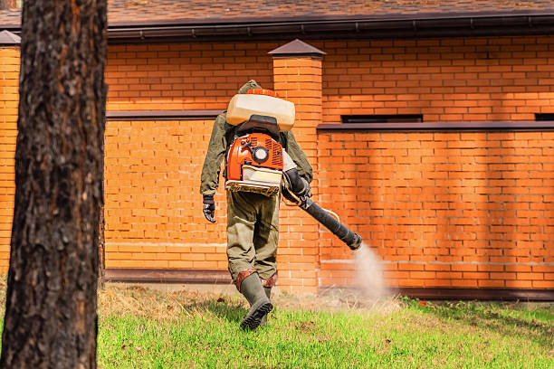 Top rated local Cockroach Control specialists in Danville, VA
